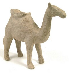 ~Camel with saddle