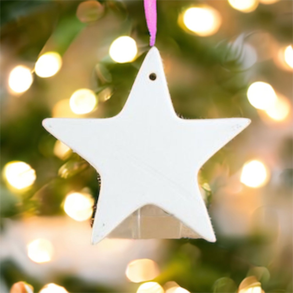 Star Ornament or Flat Tree Dec (carton of 12)