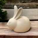 Bunny Rabbit Hare Ornament (carton of 6)