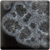 Clear Crystals