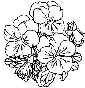 Pansies - Small - Traditional Wood Mounted Stamp