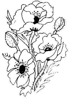 Poppies - Traditional Wood Mounted Stamp
