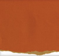 Cardstock 12X12 Kraft Core #7