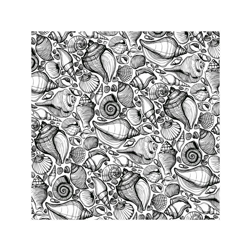 12x12 Gloss Sea Shells Sold in Packs of 10 Sheets