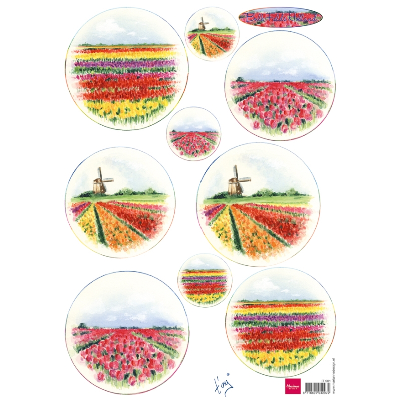 Bulb fields Holland Sold in Packs of 10's