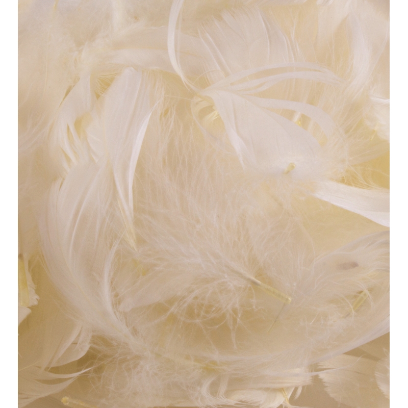 Feathers - Ivory -3"-5" 50g No.61