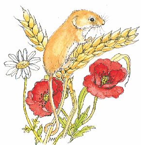 AW Harvest Mouse - Traditional Wood Mounted Stamp