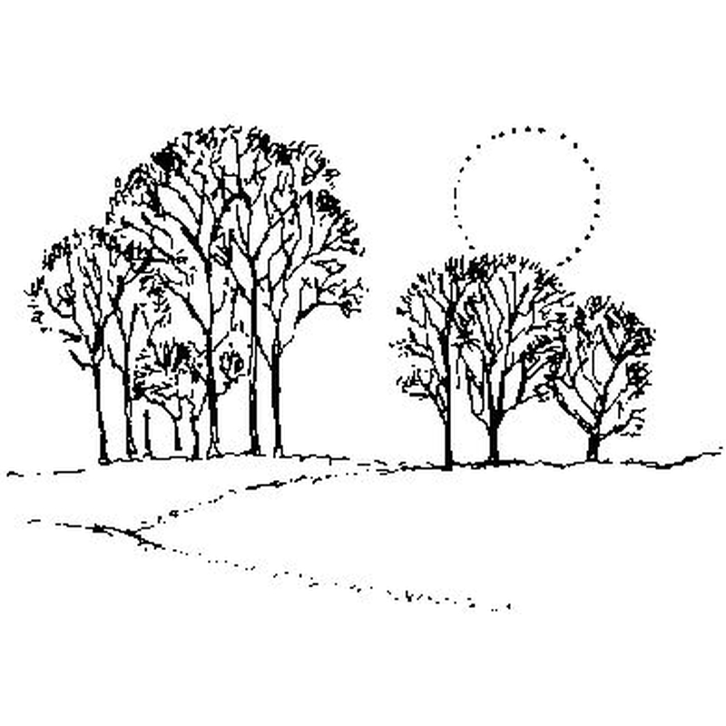 Trees And Sun - Traditional Wood Mounted Stamp