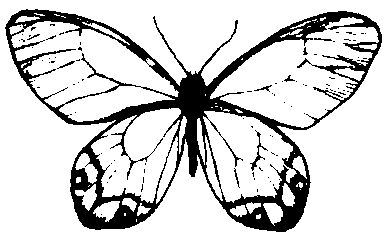 Butterfly No.2 - Traditional Wood Mounted Stamp