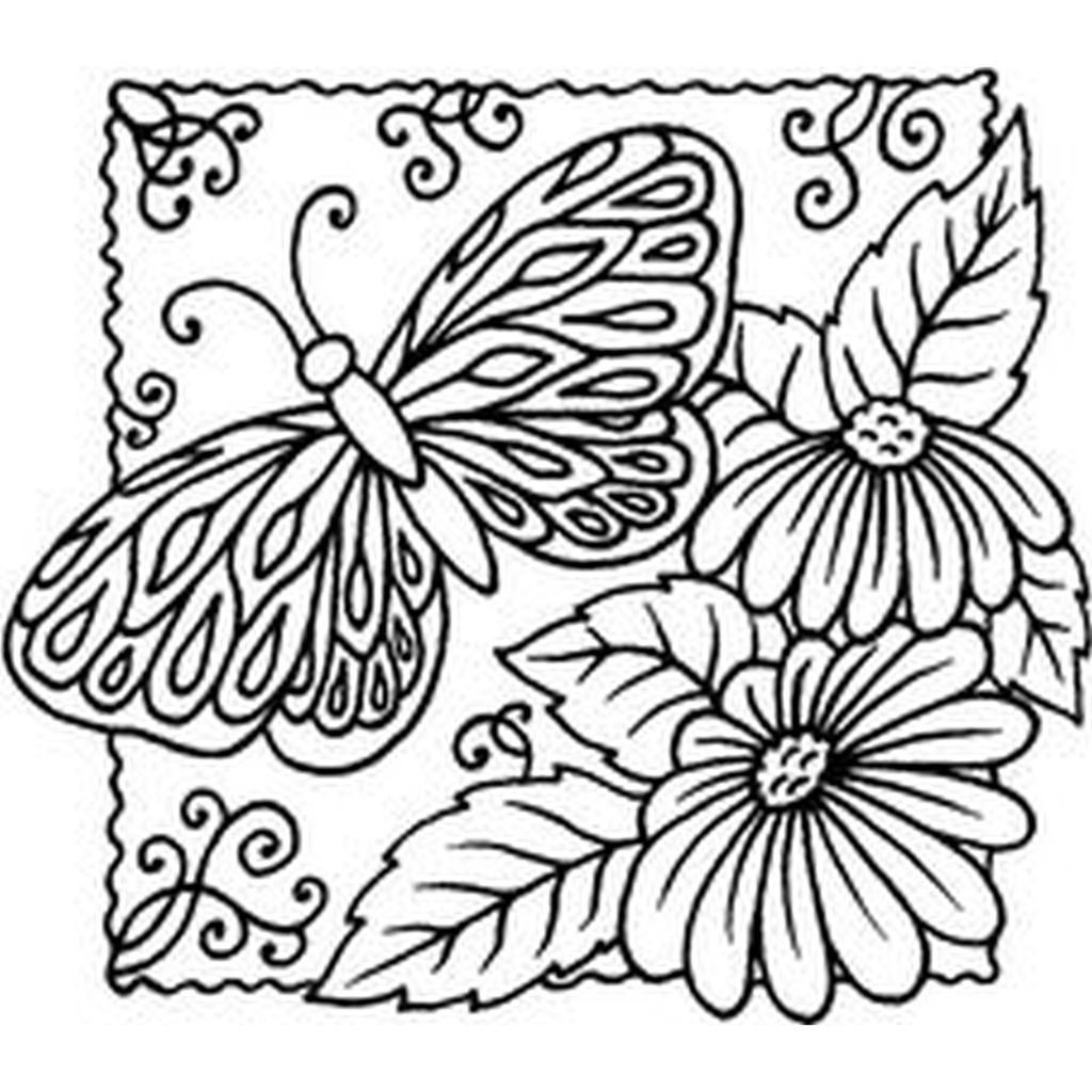 SD Butterfly Panel Two