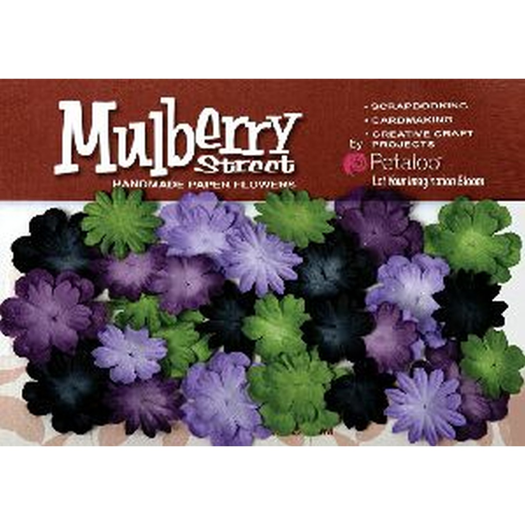 Mulberry St. - Lavender Purple Green