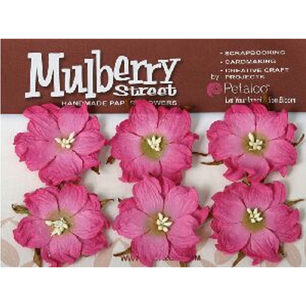 Mulberry St. - Fuchsia (6)