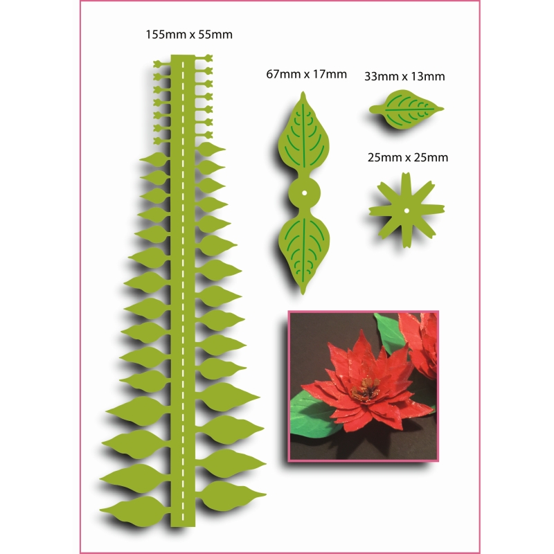 SCC Poinsettia - Small Christmas Flowers &amp; Foliage Collection