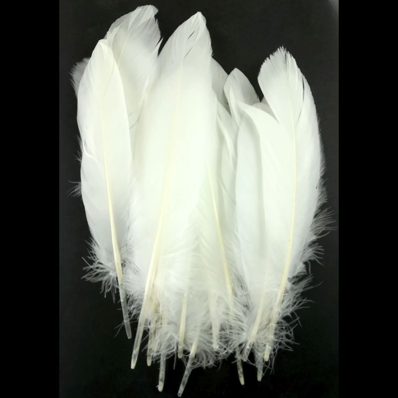 Sweet Dixie Pack of 20 White Feathers