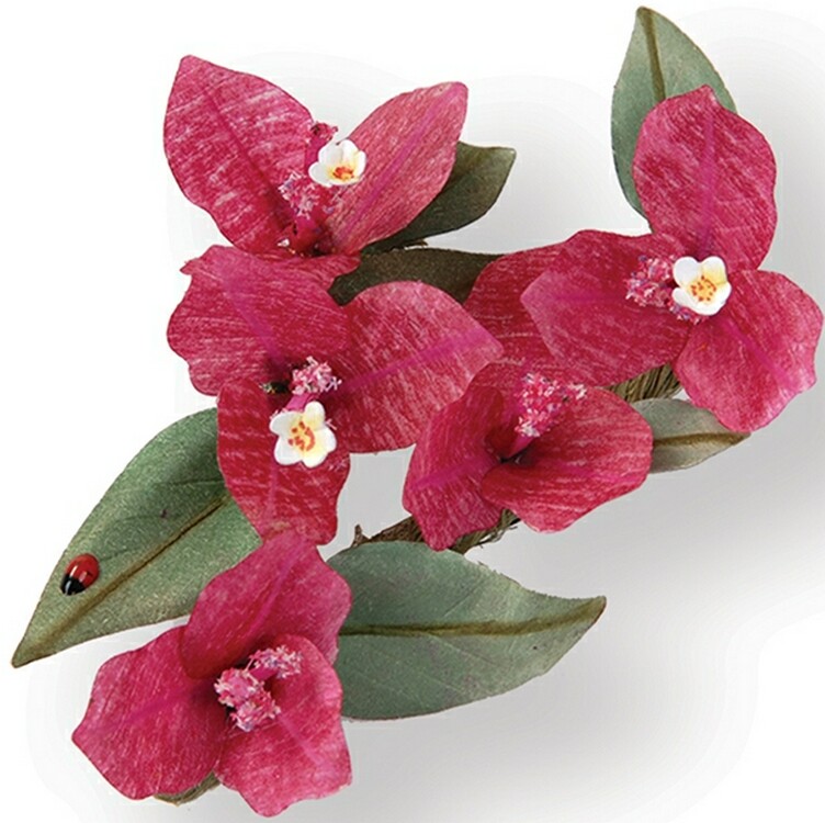 9PK - Flower, Bougainvillea