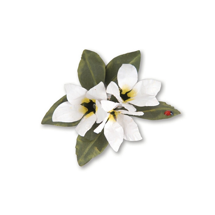 8PK - Flower, Stephonotis