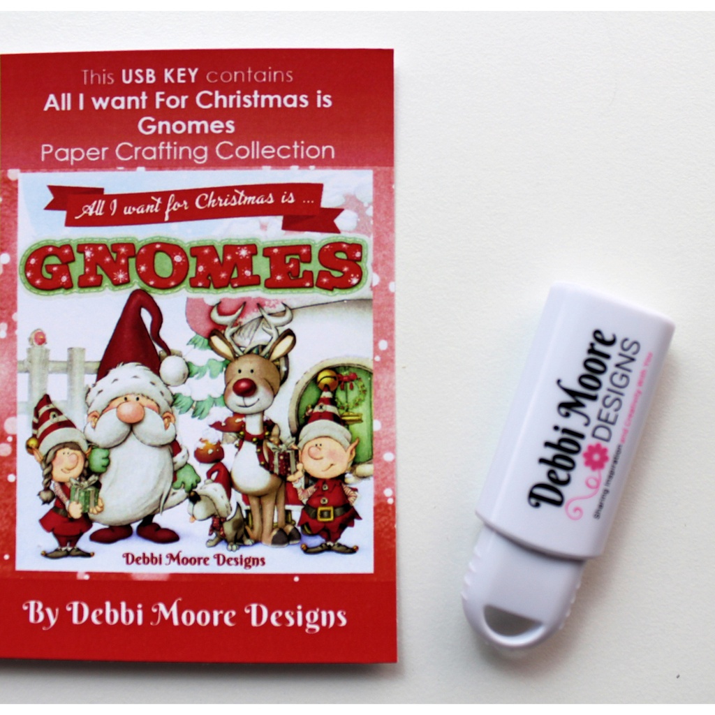 All I Want For Christmas Is Gnomes USB Key