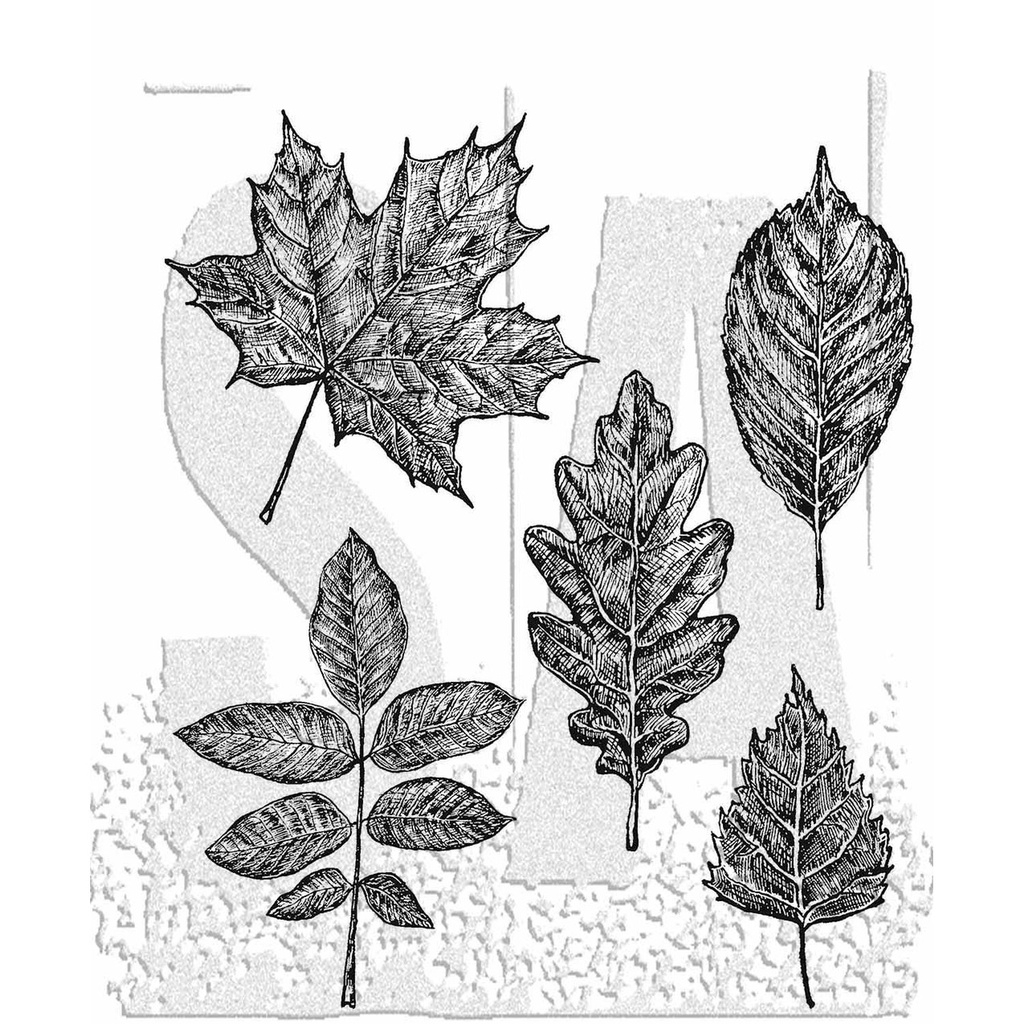 Tim Holtz Stampers Anonymous Stamp Sketchy Leaves