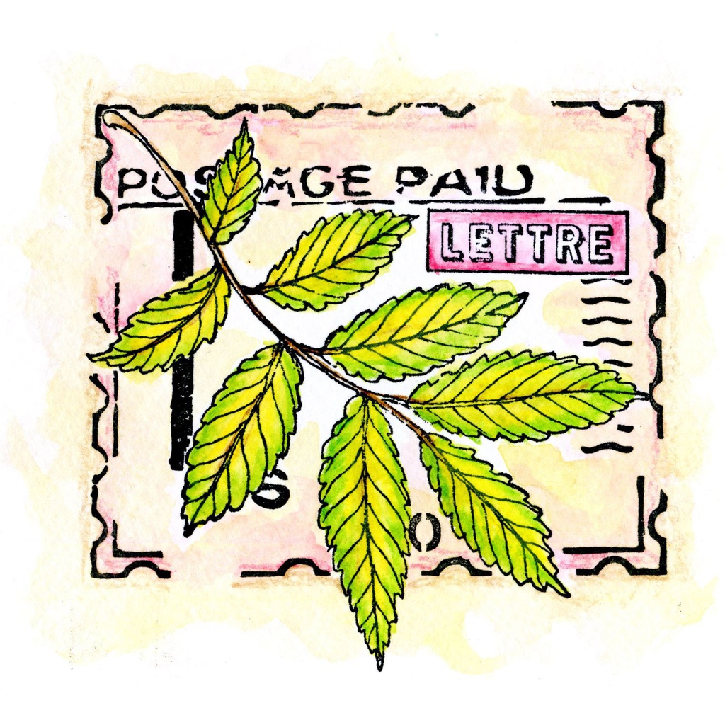Postage Paid Stamp & Leaves A6 personal Impressions Stamp
