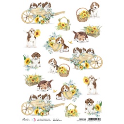 [CBRP328] Adorable Puppies - Ciao Bella Piuma Rice Paper A4 - 5 pack