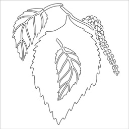 [CDSTBI-01] Birch Leaf 6&quot; Square Majemask Stencil