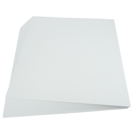 Personal Impressions Yupo Paper (12x12 x10)