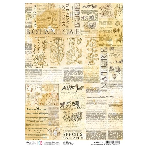 Ciao Bella Paper - Species Plantarum A4 rice paper (5 Pack)