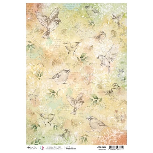 Ciao Bella Paper - Les Oiseaux A4 rice paper (5 Pack)