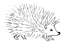 [505A] Hedgehog - Traditional Wood Mounted Stamp