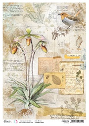 [CBRP170] Botanical - Ciao Bella Piuma Rice Paper A4 - 5 pack