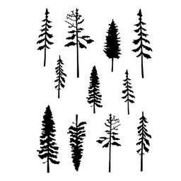 [CDCCSTPIN-02] Pine Forest