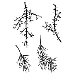 [CDCCSTSEA-01] Seasonal Branches