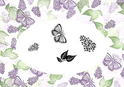 [CDMALO-04] Lovely Lilacs