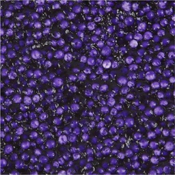 [CLCV78867] Foam Clay 35g Purple - single
