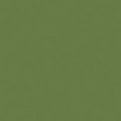 [CLDA132-2OZ] Hauser Medium Green Americana Acrylic 2o