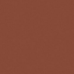 [CLDCA11] Burnt Sienna Crafters Acrylic 2oz