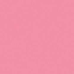 [CLDCA69] Wild Rose Pink Crafters Acrylic 2oz