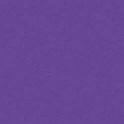 [CLDCA72] Purple Passion Crafters Acrylic 2oz