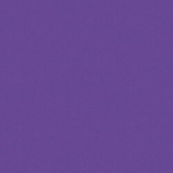 Purple Passion Crafters Acrylic 2oz