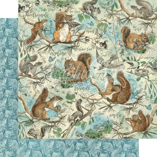 Be Curious 12x12 Paper Sold in Packs of 5 Sheets