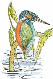 [P1021M] AW Kingfisher - Traditional Wood Mounted Stamp
