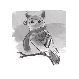 [SBDSC-002] Winter Owl