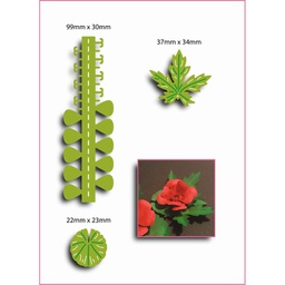 [SCCD010] SCC Christmas Geranium - Small Christmas Flowers &amp; Foliage Collection