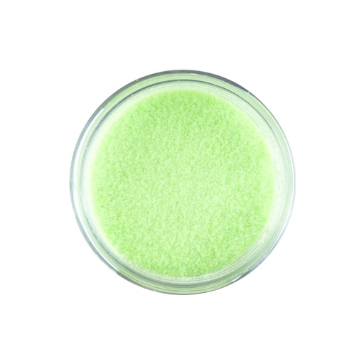 Sweet Dixie Glow in the Dark Embossing Powder - Light Green