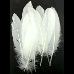 [SDF0010] Sweet Dixie Pack of 10 White Feathers