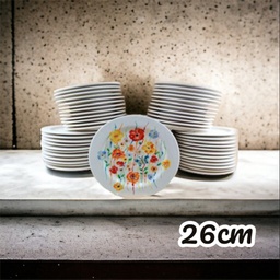 [CLBULK-PACK-005] GMS Bulk Buy Plates RIMMED 26cm x 60